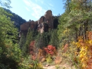 PICTURES/Oak Creek Canyon In October/t_Canyon With Trees.jpg